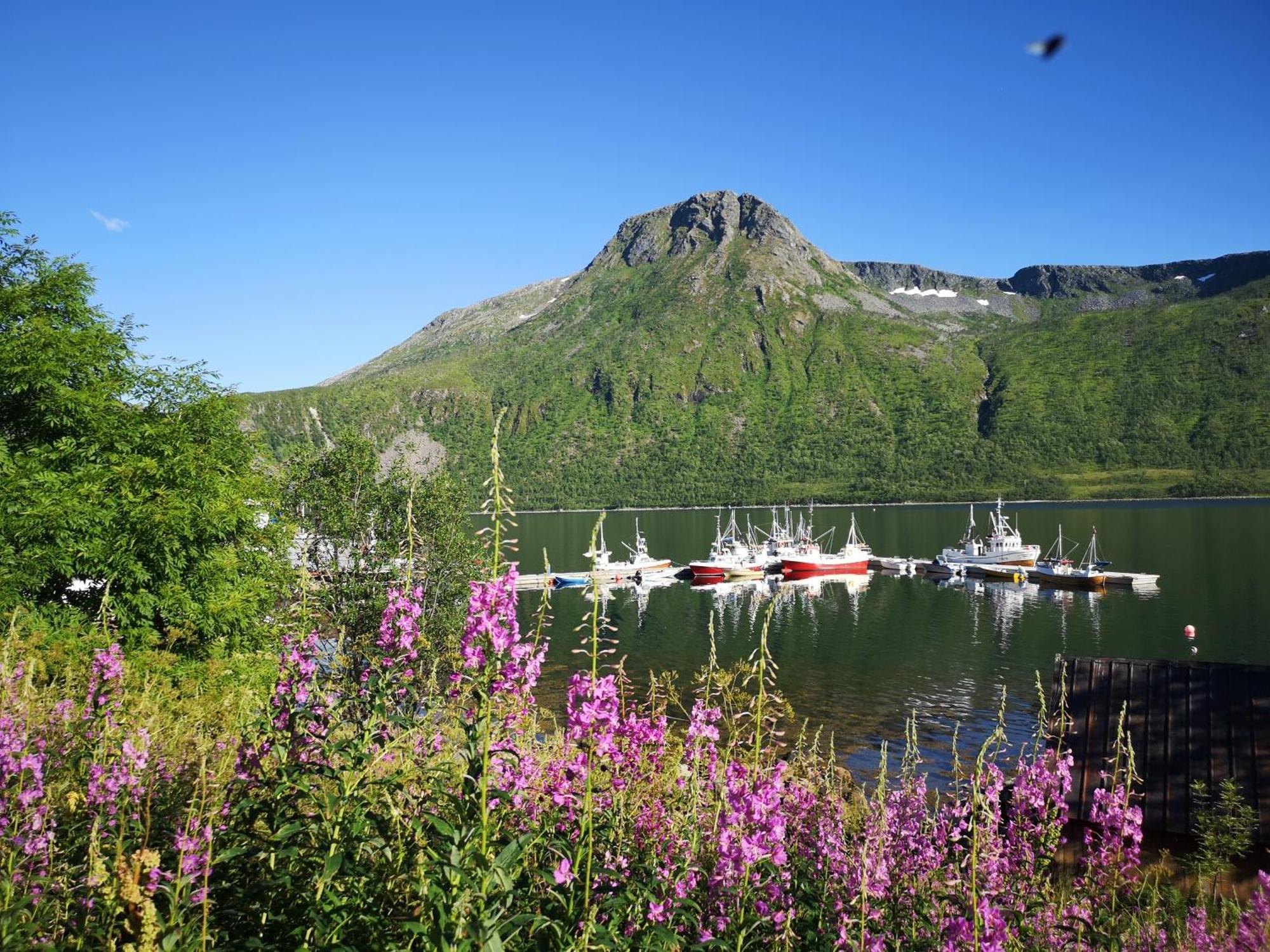 Ferrytale, Cozy, Spacious House On Senja Gryllefjord Kültér fotó