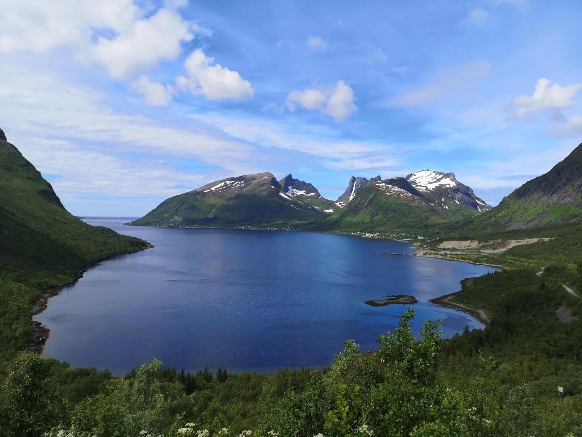 Ferrytale, Cozy, Spacious House On Senja Gryllefjord Kültér fotó